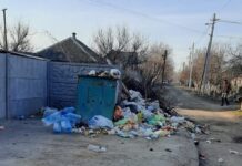 Причина мусорного коллапса в городе на Днепропетровщине