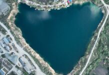 Сомы — "людоеды" и десятиметровые полозы: тайны уникального карьеру под Днепром