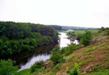 Днепровско-Орельский заповедник. История основания и растения и животные, которых охраняют сегодня