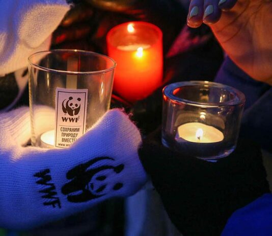 В Каменском пройдет международная акция "Час Земли"