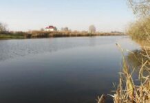 Озеро экологического бедствия: в Днепре Курячье заливает канализация