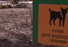 В Кривом Роге появились первые собачьи туалеты