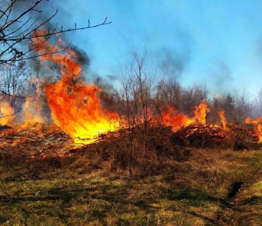 Сьогодні вогнеборці Дніпропетровщини врятували пухнастика та зупинили пожежу в екосистемі