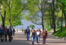 Как планируют изменить экологию города: «Зелёная программа для Днепра»