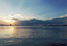 Дніпро вмирає: екологи розповіли про катастрофічний стан річки