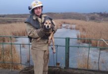 На Дніпропетровщині собаку врятували з крижаної води