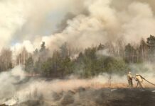 Пожар в лесах Днепровщины: рекордные прогнозы