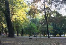 Уничтожения парка Глобы
