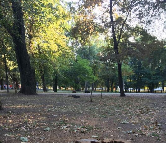 Знищення парку Глоби