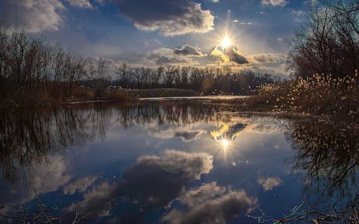 Природа як витвір мистецтва в фотографіях дніпровського аматора Олександра Пасічника
