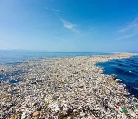 Як у Дніпрі відмовляються від поліетилену