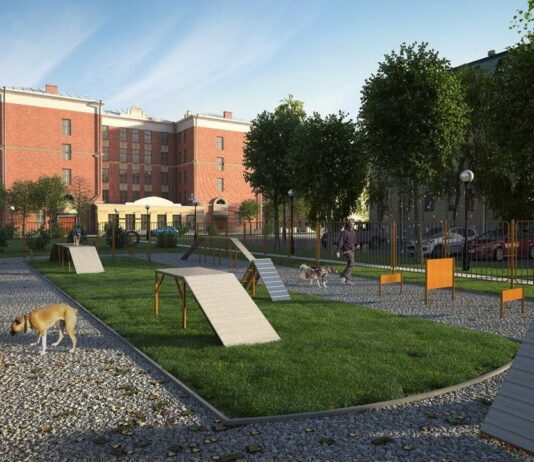 У Дніпрі з’являться нові майданчики для вигулу собак