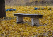 Как утилизировать листья в Днепре и надо ли это вообще делать?