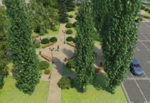 На Набережной появится еще один сквер