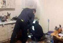 Сусід довжиною у метр: у Дніпрі жителі знайшли у своїй квартири змію