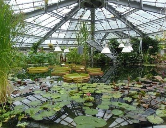 Ботанічний сад ДНУ робить безкоштовний вхід для всіх бажаючих