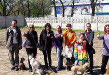 Праздник для всех, даже для животных: жители ж/м Тополь-2 планируют провести новогоднюю вечеринку для собак