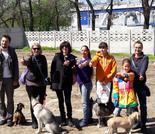 Свято для усіх, навіть для тварин: мешканці ж/м Тополь-2 планують провести новорічну вечірку для собак