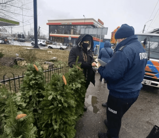 По Дніпру розпочалися рейди, суть яких виявити нелегітимні місця для збуту ялинок