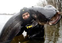 У Дніпрі водолазами був спійманий сом-людожер
