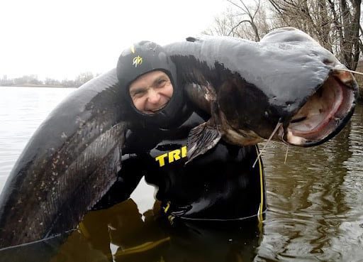 У Дніпрі водолазами був спійманий сом-людожер