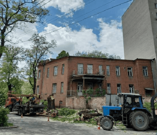 Фінальна історія 100-річного дерева, яке особисто висадив Катеринославський дослідник Іван Акінфієв