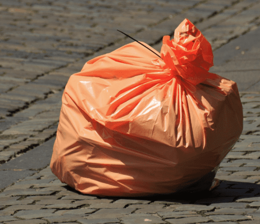 Грязная история: как в Екатеринославе-Днепре решали проблемы с мусором