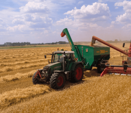 История рекордных урожаев на Днепропетровщине