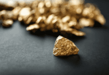 Золотые запасы Днепровского края