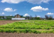 Эко-фермы Днепропетровщины: чем они занимаются