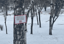 В Днепре будут штрафовать за снег: первые результаты проведенных рейдов