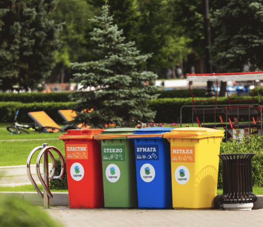 Як сортують та переробляють сміття в Дніпрі та області?