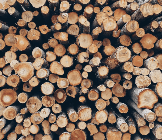 Как в городе Днепр отапливали дома более 100 лет назад?