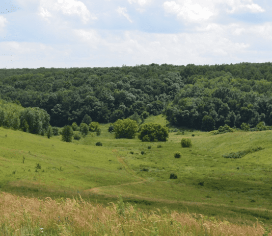 Как география региона влияла на боевые действия в Днепропетровской области?