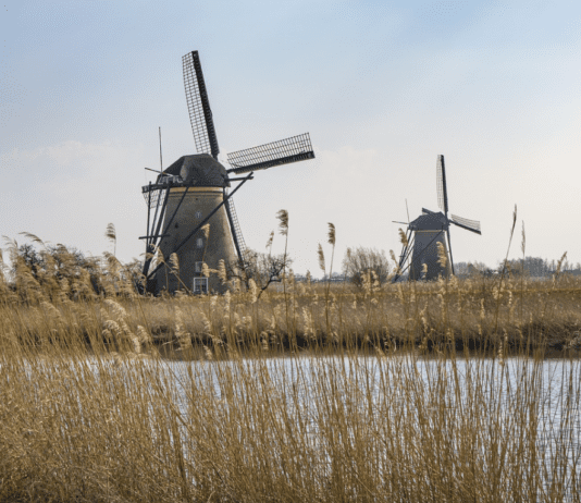 Мельница в Днепропетровской области