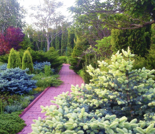 Про дендропарк Дніпропетровщини