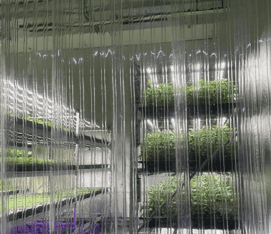 Винахід Віктора Шелешко – нова система агроосвітлення