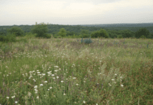 Графский колодец — природная жемчужина Днепропетровщины