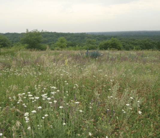Графська криниця – природна перлина Дніпропетровщини