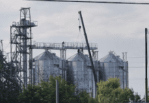 «Павлоградзернопродукт» — аграрный лидер региона