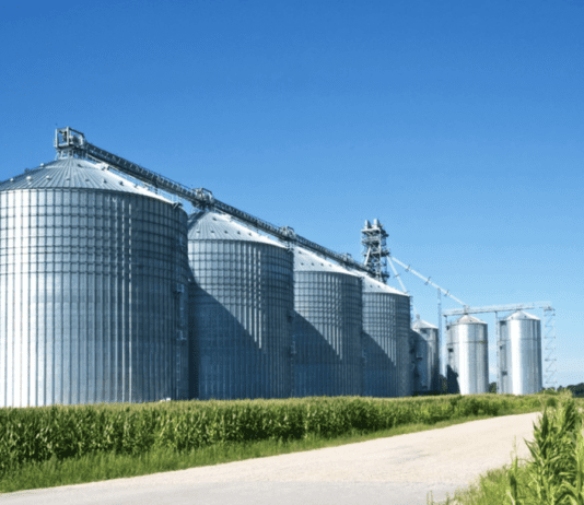 Dnipro Agro Group: аграрные успехи и скандалы