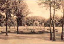 Сад знаний – история Екатеринославской школы садоводства