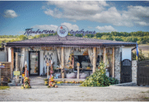 Сыр, жизнь и надежда: история фермы “Зеленый Гай”