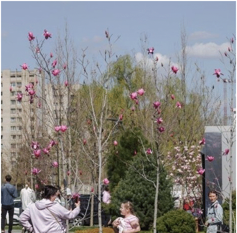 Проєкт “Зелений Дніпро”: як місто повертає собі дихання