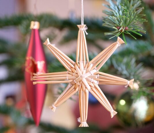 Где приобрести елку в городе Днепр?