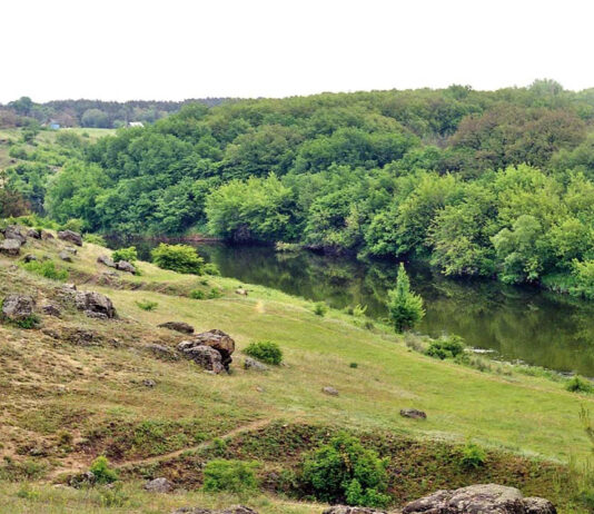 Перекази під кронами столітніх дубів Дібрівського лісу