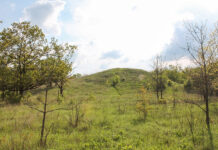 «Ляхова могила» — доминанта бронзового ландшафта Приднепровья