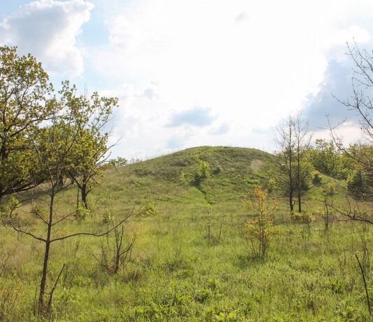 «Ляхова могила» — домінанта бронзового ландшафту Придніпров’я