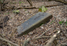 Чаплинский могильник — ключевой памятник неолита и энеолита Надпорожья