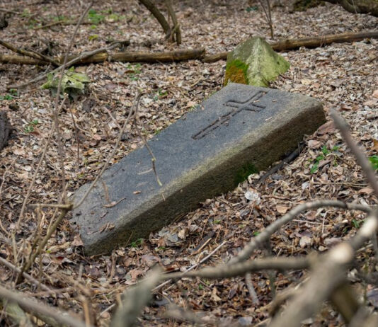 Чаплинський могильник — ключова пам’ятка неоліту та енеоліту Надпоріжжя